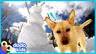 Stella The Dog Smashes Every Single Snowman | Animal Videos | Dodo Kids