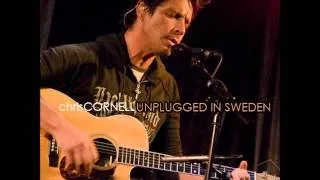 Chris Cornell - Thank You (Cover Led Zeppelin) Unplugged In Sweden