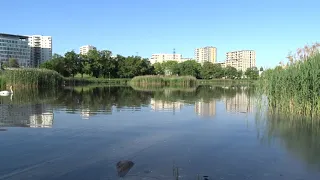 Sluzewiec Pond || a piece of nature in the big city: Warsaw