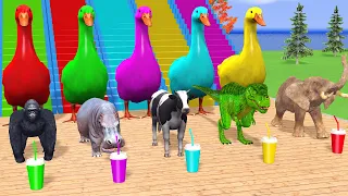 Choose Right Drink with Cow Elephant Gorilla Zebra T-Rex Hippo Wild Animals Max Level Squeeze