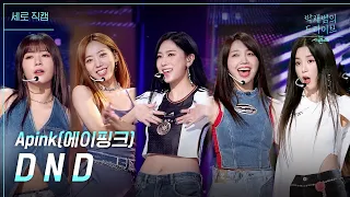 [세로]  D N D - Apink(에이핑크) [더 시즌즈-박재범의 드라이브] | KBS 230409 방송