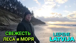 ЛЕСНОЙ БЕРЕГ МОРЯ возле г.ВЕНТСПИЛС, ЛАТВИЯ / 16.01.2023