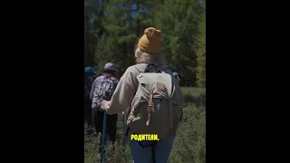 Родители завели собаку, а получили волка! Финал шокирует 😲🐕