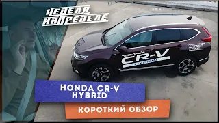 Неделя на пределе. Короткий обзор HONDA CR-V. Неужели это любовь с первого взгляда?