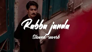 RABBA JANDA (Slowed+Reverb) | Tanishk Bagchi | Music Slowed Reverb Lofi #lofisong @crownlofi1