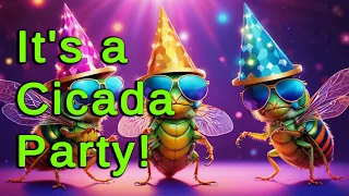 Cicada-palooza 2024: The Ultimate Bug Bash!