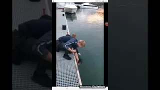 Guy drops his phone but this whale takes care of business