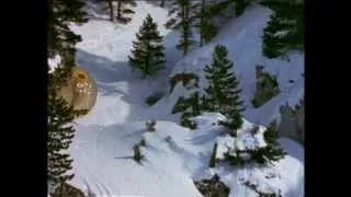 Apocalypse Snow, le film, 1983