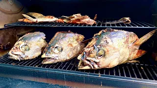 SMOKED TUNA HEADS! Catch/Clean/Cook on the Traeger Grill