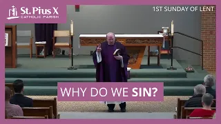 TWO REASONS we SIN...and how to stop them | 1st Sunday of Lent ~ Catholic Homily