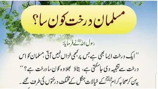 Hazrat Muhammad saw ka Farman in urdu || Hadees Shareef || Hadees sharif