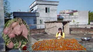 种下的是种子，收获的是希望