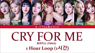 TWICE (트와이스) _ CRY FOR ME 1 Hour Loop (1시간)