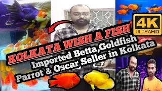 Kolkata Best imported Fish seller @wish a fish!!कोलकाता सबसे अच्छा आयातित मछली विक्रेता!!parrot fish