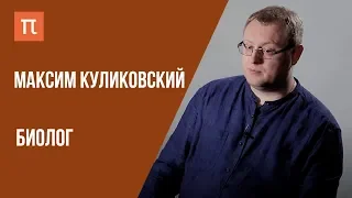 Что я знаю — МИКРОВОДОРОСЛИ // Биолог Максим Куликовский на ПостНауке