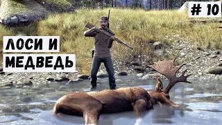 УБРАТЬ КАПКАНЫ - Way of the Hunter - ДВА ЛОСЯ И БАРИБАЛ # 10