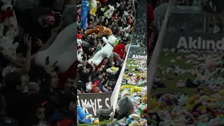 Турецкие Футбольные фанаты забросали поле мягкими игрушками. Turkey. They threw toys at the field.