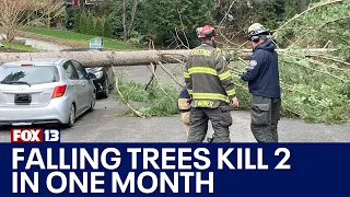 Falling trees claim 2 lives in one month | FOX 13 Seattle