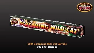 Bright Star Fireworks - 2084 Screaming Wild Cat 300 Shot Barrage