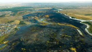 Последствия после ландшафтного пожара в Бабяково Воронежской области