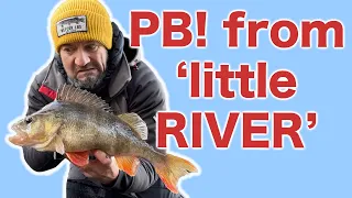 PB PERCH for this little RIVER...FLUKE?