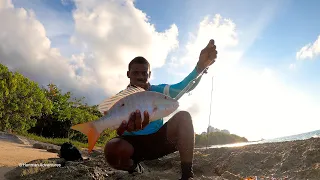 Catching Mutton Snapper While Lure Fishing The Shores Of Jamaica