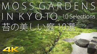 [4K] Moss Gardens in Kyoto 10 selections　苔の美しい京都の庭10選 瑠璃光院 桂春院