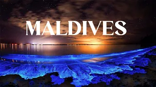 Glowing Beach In The Maldives - Interesting Facts