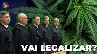 MACONHA foi liberada? Saiba o que está sendo julgado no STF