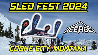 SLED FEST 2024 - Cooke City Montana
