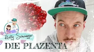 Plazenta bzw. Mutterkuchen. Wie ernährst du eigentlich dein Kind?