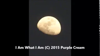 Super Pop Rock I Am What I Am by Purple Cream