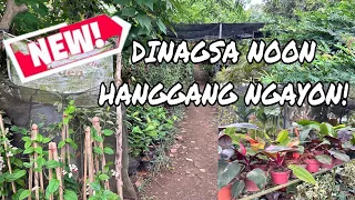 DINAGSA NOON HANGGANG NGAYON!