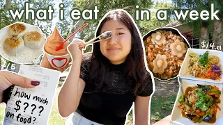 how much MONEY i spend on FOOD in a week as a 19 year old // WHAT I EAT IN A WEEK (v realistic)