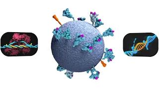 HIV VACCINE! WILL mRNA VACCINES LEAD TO HIV VACCINE?  SPIKE PROTEINS gp120, gp41 EXPLAINED!