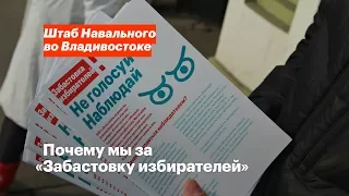 Почему мы за «Забастовку избирателей»