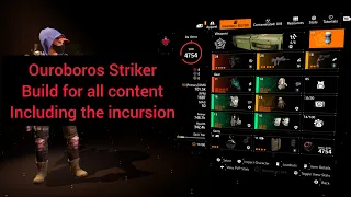 Ouroboros With Striker Is Amazing (The Division 2 Gameplay and Build)