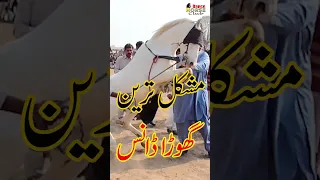 Difficult Dance OMG! Horse dance with Dhol - Ghoda Nach in Punjab Pakistan #shorts