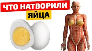 Ешь по 2 яйца в день и Вот что произойдет с твоим телом...