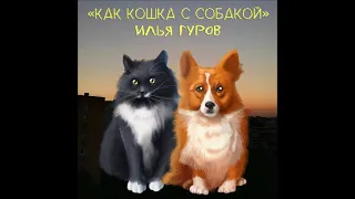 Илья Гуров / Как кошка с собакой / премьера песни 2021