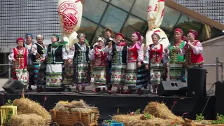 Folk-collective "Dzherelo" - Sorochinsky Fair concert Odessa 2019