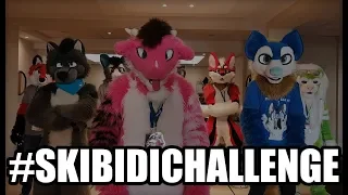 Furry Skibidi Challenge!