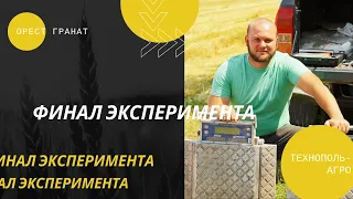 Финал эксперимента с внесением удобрений | Жнива 2021