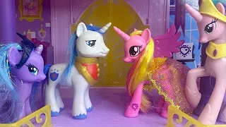 How Shining Armor and Cadance First Met