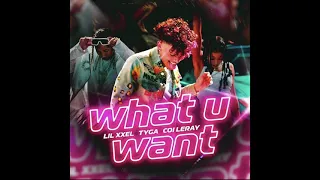 Lil XXEL, Tyga & Coi Leray - What U Want (AUDIO)