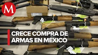 Familias mexicanas se arman contra la inseguridad