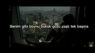 Ayten Alpman - Tek Başına /Kareoke