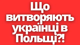 Це ЖАХ! Що витворяють українці в Польщі?!