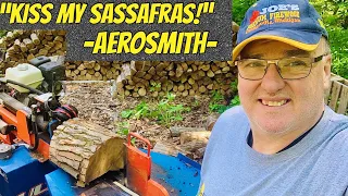 FIREWOOD | Splitting the last of the sassafras that Nate brought me