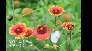 김정호 - 하얀나비.wmv